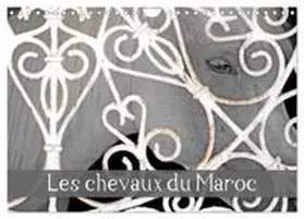 CALVENDO / THEBAULT |  Les chevaux du Maroc (Calendrier mural 2027 DIN A4 vertical), CALVENDO calendrier mensuel | Sonstiges |  Sack Fachmedien