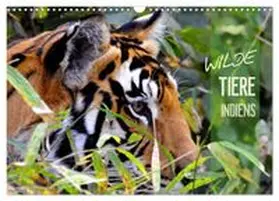 CALVENDO / Bergermann |  Wilde Tiere Indiens (Wandkalender 2027 DIN A3 quer), CALVENDO Monatskalender | Sonstiges |  Sack Fachmedien