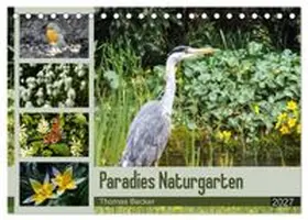 CALVENDO / Becker |  Paradies Naturgarten (Tischkalender 2027 DIN A5 quer), CALVENDO Monatskalender | Sonstiges |  Sack Fachmedien