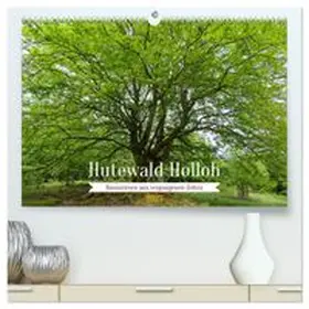 CALVENDO / Wolf |  Hutewald Halloh - Baumriesen aus vergangenen Zeiten (hochwertiger Premium Wandkalender 2027 DIN A2 quer), Kunstdruck in Hochglanz | Sonstiges |  Sack Fachmedien