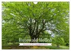 CALVENDO / Wolf |  Hutewald Halloh - Baumriesen aus vergangenen Zeiten (Wandkalender 2027 DIN A4 quer), CALVENDO Monatskalender | Sonstiges |  Sack Fachmedien