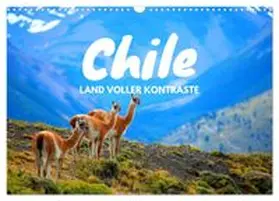 CALVENDO / Tischer |  Chile - Land voller Kontraste (Wandkalender 2027 DIN A3 quer), CALVENDO Monatskalender | Sonstiges |  Sack Fachmedien