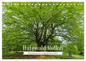 CALVENDO / Wolf |  Hutewald Halloh - Baumriesen aus vergangenen Zeiten (Tischkalender 2027 DIN A5 quer), CALVENDO Monatskalender | Sonstiges |  Sack Fachmedien