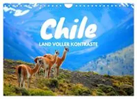 CALVENDO / Tischer |  Chile - Land voller Kontraste (Wandkalender 2027 DIN A4 quer), CALVENDO Monatskalender | Sonstiges |  Sack Fachmedien