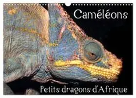 CALVENDO / Hellier |  Caméléons - Petits dragons d'Afrique. (Calendrier mural 2027 DIN A3 vertical), CALVENDO calendrier mensuel | Sonstiges |  Sack Fachmedien