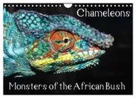 CALVENDO / Hellier |  Chameleons Monsters of the African Bush (Wall Calendar 2027 DIN A4 landscape), CALVENDO 12 Month Wall Calendar | Sonstiges |  Sack Fachmedien