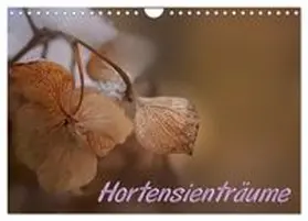 CALVENDO / - Petra Voß |  Hortensienträume (Wandkalender 2027 DIN A4 quer), CALVENDO Monatskalender | Sonstiges |  Sack Fachmedien