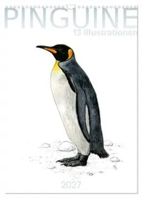 CALVENDO / Spangenberg |  Pinguine - 13 Illustrationen (Wandkalender 2027 DIN A3 hoch), CALVENDO Monatskalender | Sonstiges |  Sack Fachmedien