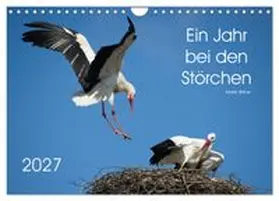 CALVENDO / Bittner | Ein Jahr bei den Störchen (Wandkalender 2027 DIN A4 quer), CALVENDO Monatskalender | Sonstiges | 978-3-569-94100-7 | www.sack.de