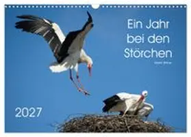 CALVENDO / Bittner | Ein Jahr bei den Störchen (Wandkalender 2027 DIN A3 quer), CALVENDO Monatskalender | Sonstiges | 978-3-569-94365-0 | www.sack.de