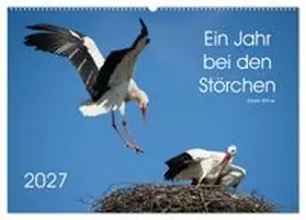 CALVENDO / Bittner | Ein Jahr bei den Störchen (Wandkalender 2027 DIN A2 quer), CALVENDO Monatskalender | Sonstiges | 978-3-569-94435-0 | www.sack.de