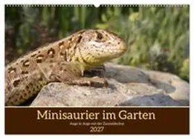 CALVENDO / Becker |  Minisaurier im Garten (Wandkalender 2027 DIN A2 quer), CALVENDO Monatskalender | Sonstiges |  Sack Fachmedien