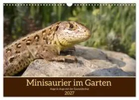 CALVENDO / Becker |  Minisaurier im Garten (Wandkalender 2027 DIN A3 quer), CALVENDO Monatskalender | Sonstiges |  Sack Fachmedien