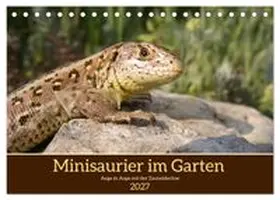 CALVENDO / Becker |  Minisaurier im Garten (Tischkalender 2027 DIN A5 quer), CALVENDO Monatskalender | Sonstiges |  Sack Fachmedien