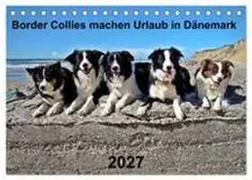 CALVENDO / Busch |  Border Collies machen Urlaub in Dänemark (Tischkalender 2027 DIN A5 quer), CALVENDO Monatskalender | Sonstiges |  Sack Fachmedien