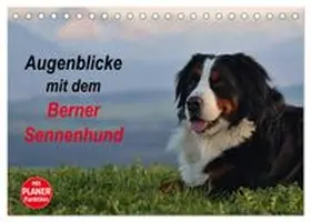 CALVENDO / Hunscheidt |  Augenblicke mit dem Berner Sennenhund (Tischkalender 2027 DIN A5 quer), CALVENDO Monatskalender | Sonstiges |  Sack Fachmedien
