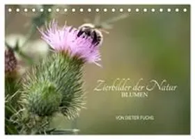 CALVENDO / Fuchs |  Zierbilder der Natur BLUMEN (Tischkalender 2027 DIN A5 quer), CALVENDO Monatskalender | Sonstiges |  Sack Fachmedien