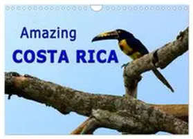 CALVENDO / Schoen, Berlin |  Amazing Costa Rica (Wall Calendar 2027 DIN A4 landscape), CALVENDO 12 Month Wall Calendar | Sonstiges |  Sack Fachmedien