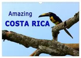 CALVENDO / Schoen, Berlin |  Amazing Costa Rica (Wall Calendar 2027 DIN A3 landscape), CALVENDO 12 Month Wall Calendar | Sonstiges |  Sack Fachmedien