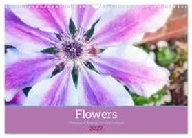 CALVENDO / Greenwood |  Vibrancy of flowers (Wall Calendar 2027 DIN A3 landscape), CALVENDO 12 Month Wall Calendar | Sonstiges |  Sack Fachmedien