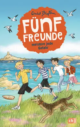 Blyton |  Fünf Freunde meistern jede Gefahr | Buch |  Sack Fachmedien