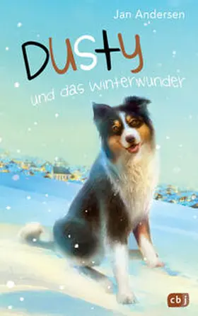 Andersen |  Dusty und das Winterwunder | Buch |  Sack Fachmedien