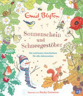 Blyton |  Sonnenschein und Schneegestöber - Die schönsten Geschichten für alle Jahreszeiten | Buch |  Sack Fachmedien