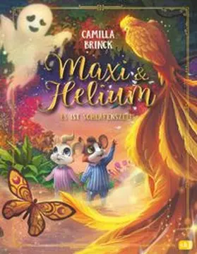 Brinck |  Maxi & Helium | Buch |  Sack Fachmedien