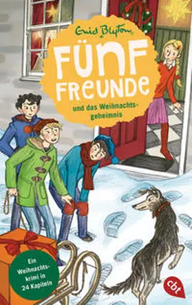 Blyton / Bosse |  Fünf Freunde und das Weihnachtsgeheimnis | Buch |  Sack Fachmedien
