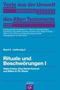 Farber / Kümmel / Römer |  Rituale und Beschwörungen I | Buch |  Sack Fachmedien