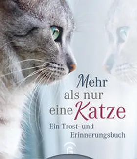 Hoffmann |  Mehr als nur eine Katze | Buch |  Sack Fachmedien