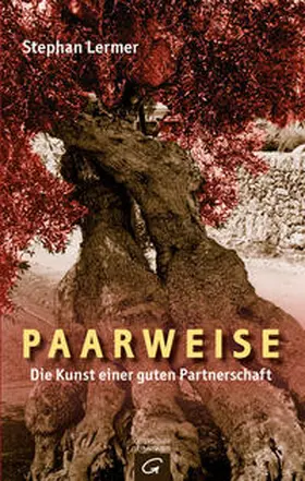 Lermer |  Paarweise | Buch |  Sack Fachmedien