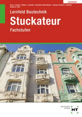 Boes / Witt / Köhler |  Lösungen zu Lernfeld Bautechnik Stuckateur | Buch |  Sack Fachmedien