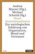 Maurer / Schmid |  Neuer Institutionalismus | Buch |  Sack Fachmedien