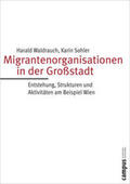 Waldrauch / Sohler |  Migrantenorganisationen in der Großstadt | Buch |  Sack Fachmedien