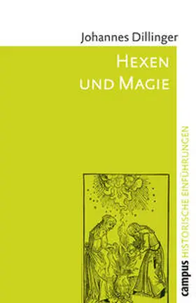 Dillinger | Hexen und Magie | Buch | 978-3-593-38302-6 | sack.de