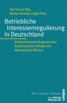 Hauser-Ditz / Hertwig / Pries | Betriebliche Interessenregulierung in Deutschland | Buch | sack.de