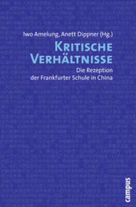 Amelung / Dippner | Kritische Verhältnisse | Buch | 978-3-593-39009-3 | sack.de