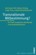 Hauser-Ditz / Hertwig / Pries |  Transnationale Mitbestimmung? | Buch |  Sack Fachmedien