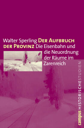 Sperling | Der Aufbruch der Provinz | Buch | 978-3-593-39431-2 | sack.de
