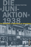 Faludi |  Die Juni-Aktion 1938 | Buch |  Sack Fachmedien