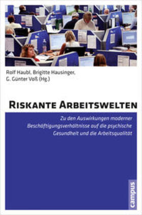 Haubl / Hausinger / Voß |  Riskante Arbeitswelten | Buch |  Sack Fachmedien