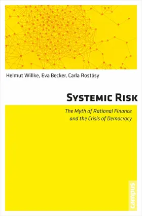 Willke / Becker / Rostásy | Systemic Risk | E-Book | www.sack.de