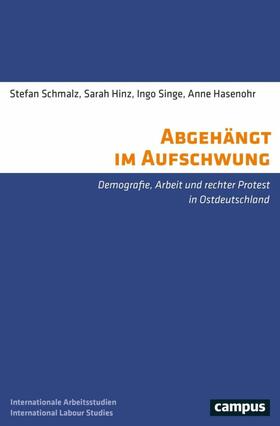 Schmalz / Hinz / Singe | Abgehängt im Aufschwung | E-Book | sack.de
