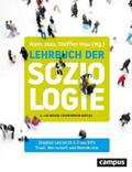 Lessenich / Offe / Joas |  Staat, Herrschaft und Demokratie | eBook | Sack Fachmedien