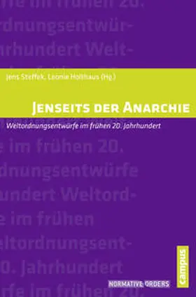 Steffek / Holthaus | Jenseits der Anarchie | Buch | 978-3-593-50087-4 | sack.de