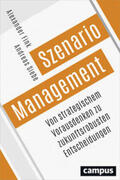 Fink / Siebe |  Szenario-Management | Buch |  Sack Fachmedien
