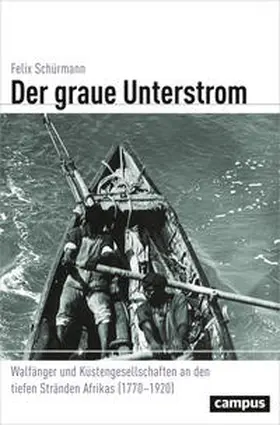 Schürmann |  Der graue Unterstrom | Buch |  Sack Fachmedien