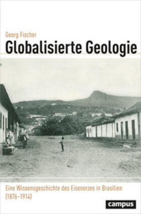 Fischer | Globalisierte Geologie | Buch | 978-3-593-50815-3 | sack.de