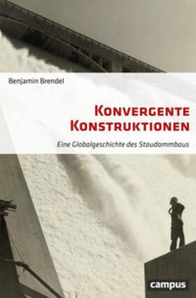 Brendel | Konvergente Konstruktionen | Buch | 978-3-593-50981-5 | sack.de